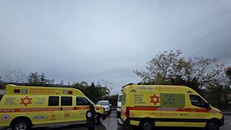 זירת הרצח, צילום: דוברות מדא